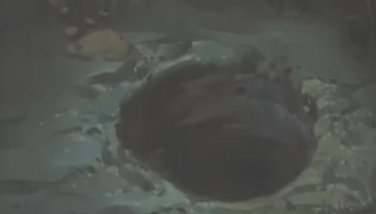 Pigeon blood hentai Pigeon blood hentai