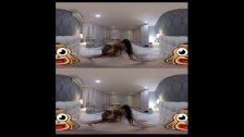 Ab dick 360 press