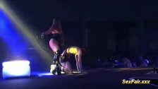 Venus erotic trade fair